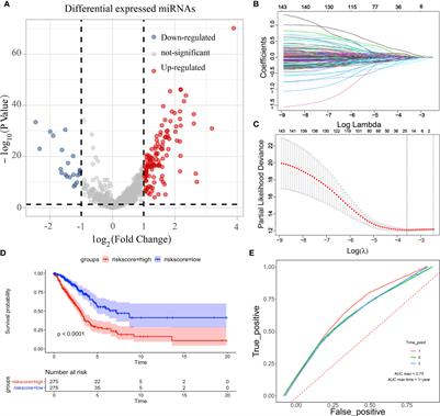 An 11-Gene Signature Risk-Prediction Model Based on Prognosis-Related miRNAs and Their Target Genes in Lung Adenocarcinoma